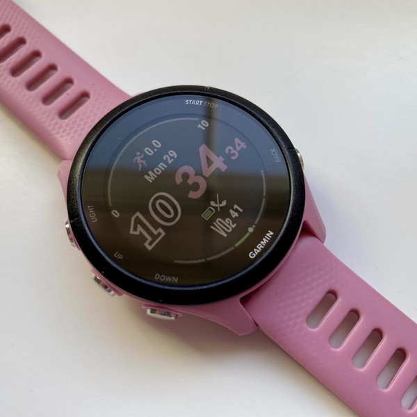 Garmin Forerunner 255S - Pink, Standard