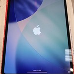 Mint Apple iPad Pro 13 inch (M5) 2025 - Unlocked, Apple M5 9-Core, Space Black, 256 GB, A3361, Standard Glass