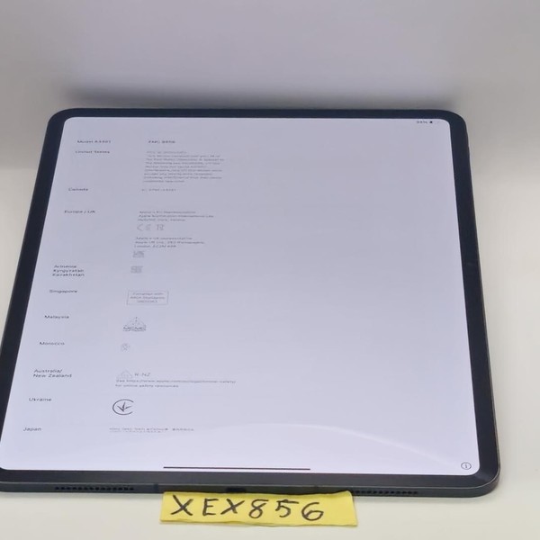 Apple iPad Pro 13 inch (M5) 2025 - Unlocked, 256 GB, Space Black, Apple M5 9-Core, A3361, Standard Glass