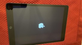 Good
													Apple iPad 9th Gen - Wi-Fi, Gray, 64 GB, A2602, photo 5 of 16