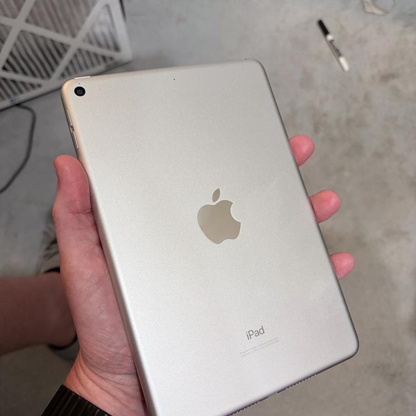 Apple iPad Mini (5th Gen) - Wi-Fi, 256 GB, Silver