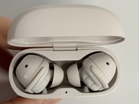 Bose QuietComfort Earbuds (2020)
