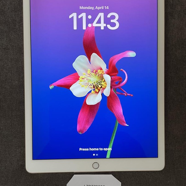 Apple iPad Pro 12.9 inch 2nd Gen 2017 - Wi-Fi, 64 GB, Gold