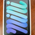 Mint Apple iPad Mini (6th Gen) - Wi-Fi, 64 GB, Gray, A2567