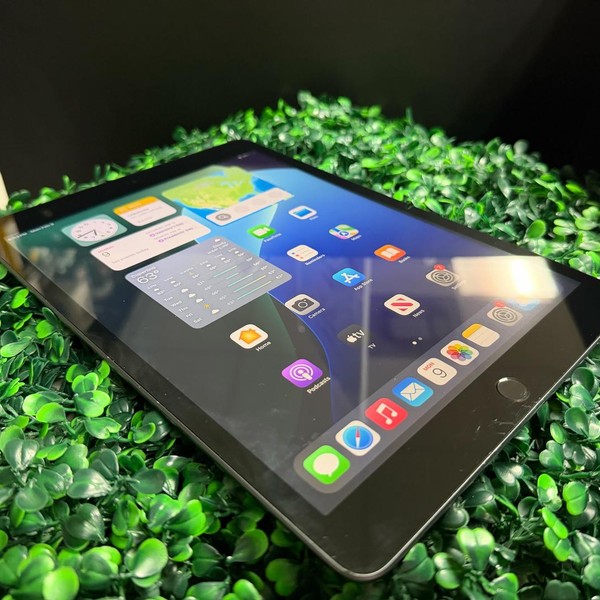 Apple iPad 9th Gen - Unlocked, 256 GB, Gray, A2603