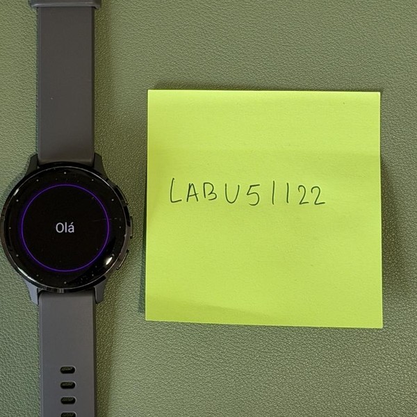 Garmin Venu 3S - Gray