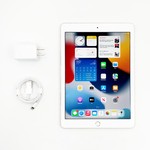 Mint Apple iPad Pro 9.7 inch - Unlocked, 128 GB, Gold, A1674
