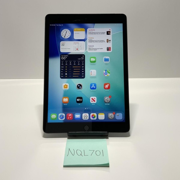 Apple iPad (9th Gen) - Unlocked, 256 GB, Gray, A2603