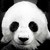 Seller: Yan Z.