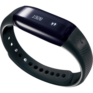 Virgin Pulse Max Buzz Activity Tracker