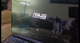 Mint
													Asus ProArt StudioBook, photo 3 of 13