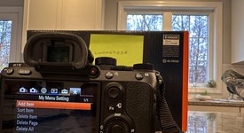 Mint
													Sony a7 III, photo 2 of 7