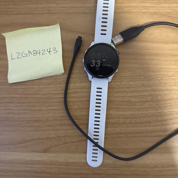 Garmin Forerunner 255 - White, Music