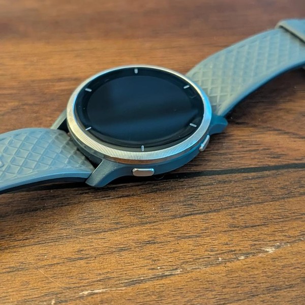 Garmin Venu 2 - Silver