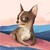 Seller: Minhu H.
