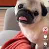 Sam9233