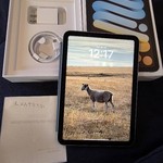 Good Apple iPad Mini 7th Gen - Wi-Fi, Blue, 256 GB, A2993