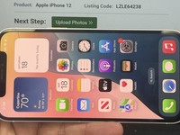 Apple iPhone 12