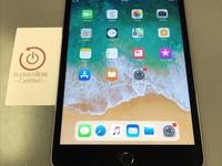 Apple iPad Mini 4