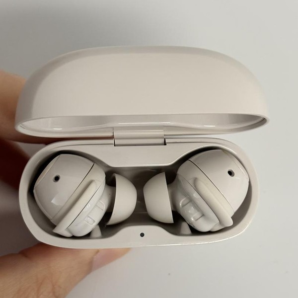 Bose QuietComfort Earbuds (2020) - Soapstone