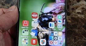 Good
													vivo X100 Pro - Unlocked Non-US, Orange, 512 GB, 16 GB, photo 1 of 10