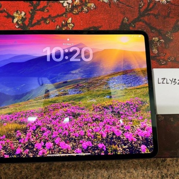 Apple iPad Pro 13 inch (M4) 2024 - Unlocked, 512 GB, Black, 8 GB, A2926, Standard Glass