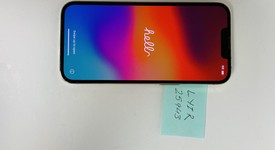 Good
													Apple iPhone 13 Pro - Unlocked, Gold, 256 GB, A2483, photo 1 of 9