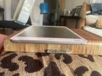 Apple iPad Mini