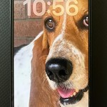Mint Apple iPhone 12 - Unlocked, 128 GB, Black, A2172