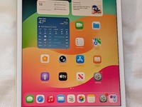 Apple iPad Mini 5th Gen