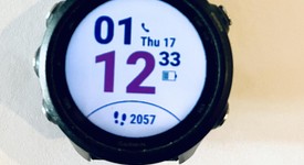 Good
													Garmin Forerunner 245 - Gray, Regular, photo 1 of 6