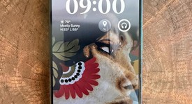 Good
													Apple iPhone 15 Pro - Unlocked, Black, 128 GB, A2848, photo 1 of 8