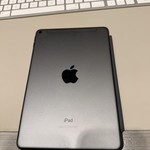 Good Apple iPad Mini (5th Gen) - Unlocked, 256 GB, Gray