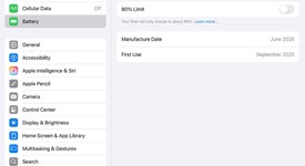 Mint
													Apple iPad Pro 13" (M4) 2024 - Unlocked, Black, 512 GB, 8 GB, A2926, Standard Glass, photo 2 of 9