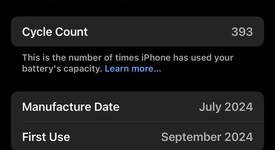 Mint
													Apple iPhone 16 Pro - Unlocked, Desert, 256 GB, A3083, photo 3 of 12