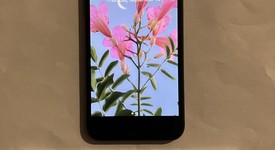 Good
													Apple iPhone SE 3rd Gen 2022 - T-Mobile, Midnight, 64 GB, A2595, photo 2 of 5