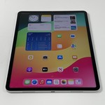 Good Apple iPad Pro 12.9 inch 5th Gen 2021 - Unlocked, 1 TB, Silver