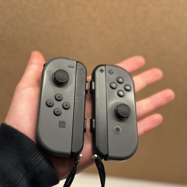 Nintendo Switch Joy-Con (L-R) - Grey