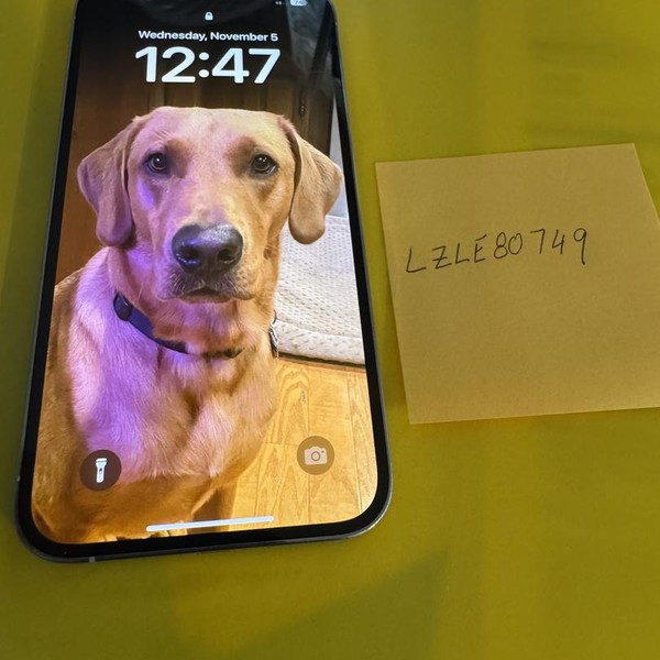 Apple iPhone 13 Pro Max - Unlocked, 256 GB, Silver, A2484