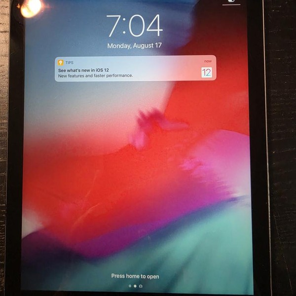 Apple iPad Air - Unlocked, 32 GB, Gray