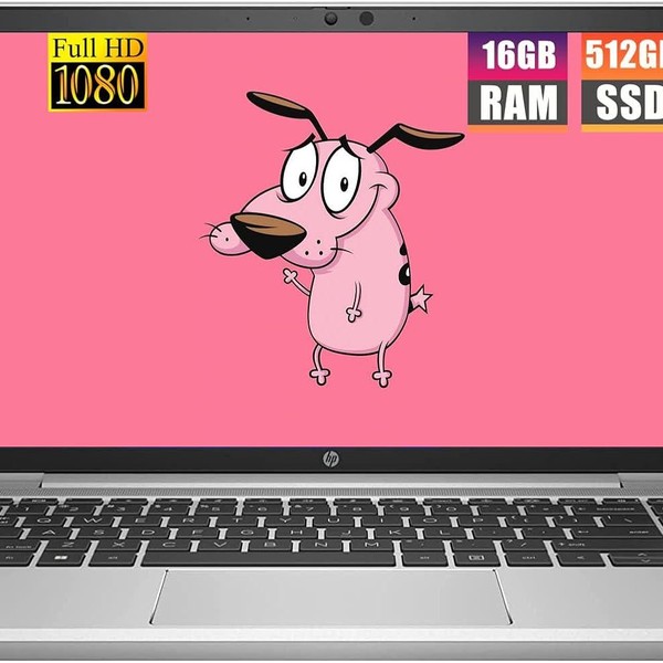 HP ProBook 445 G8 - 512 GB, 16 GB, AMD Ryzen 5