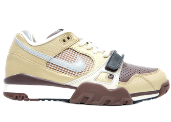 Nike Air Trainer 2 SB Metallic Gold/Reflect Silver for sale