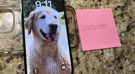 Mint
													Apple iPhone 13 Pro - Unlocked, Green, 256 GB, A2483, photo 1 of 10
