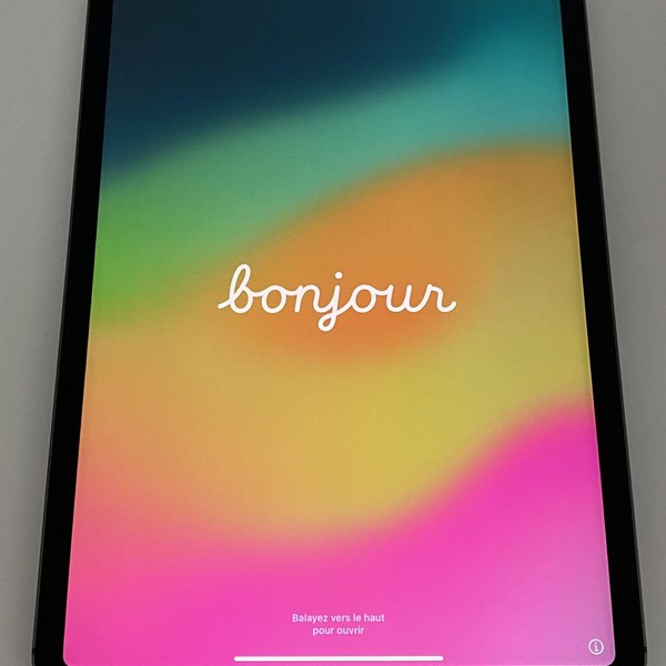 Apple iPad Pro 11 inch 3rd Gen 2021 - Unlocked, 128 GB, Gray