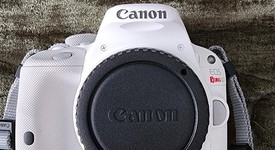 Mint
													Canon EOS Rebel SL1, photo 5 of 13