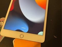 Apple iPad Mini 5th Gen
