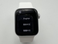 Apple Watch SE 1st Gen 44mm