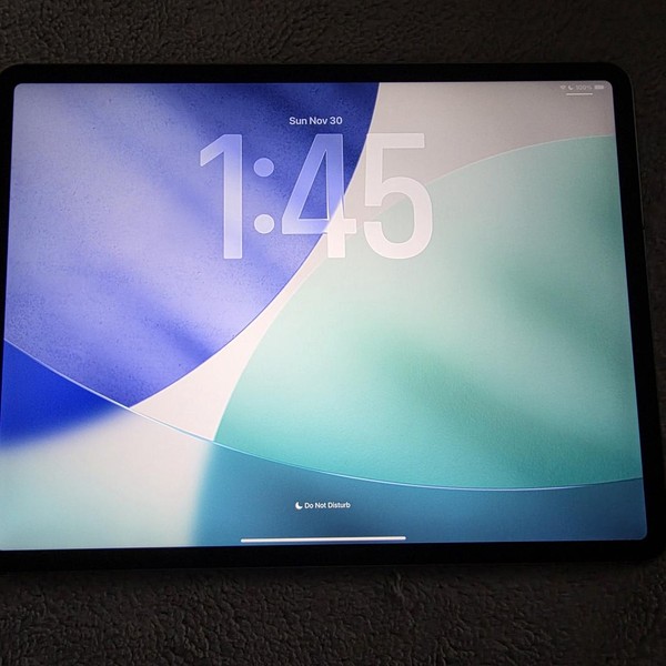 Apple iPad Pro 12.9 inch 3rd Gen 2018 - Unlocked, 256 GB, Gray, A2014