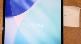 Mint
													Apple iPad Pro 13" (M4) 2024 - Wi-Fi, Black, 256 GB, 8 GB, A2925, Standard Glass, photo 1 of 18