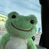 Disney P.